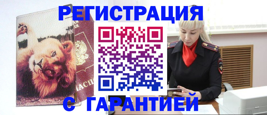 прописка от собственника в Новодвинске